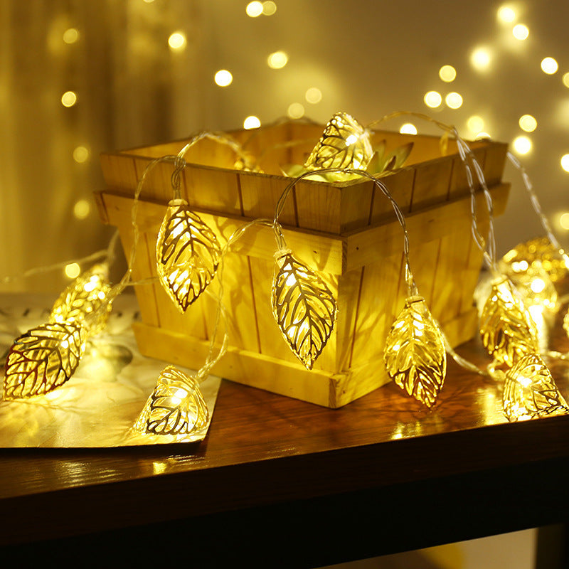 Warm Copper LED Fairy String Lights