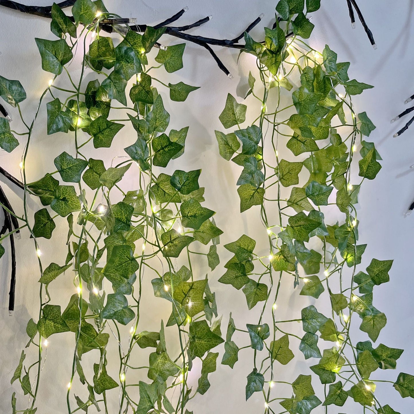 Gorgeous String LED Fairy Lights - Befez