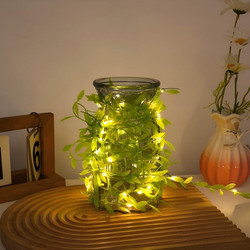 Gorgeous String LED Fairy Lights