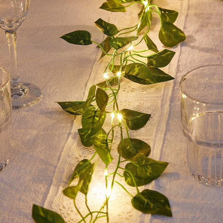 Gorgeous String LED Fairy Lights