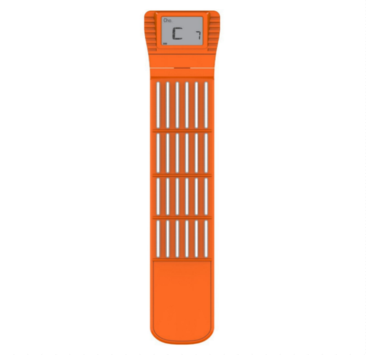 Compact Travel Guitar Practice Aid - Befez