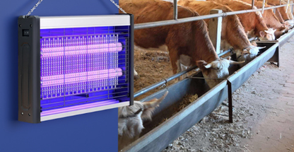 Heavy Duty LED Insect Trap