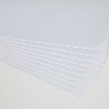 Clear Pet Scratch Guard for Sofas and Furniture