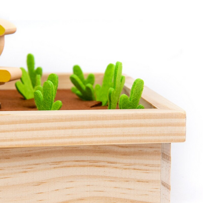 Fun Creative Building Blocks Set