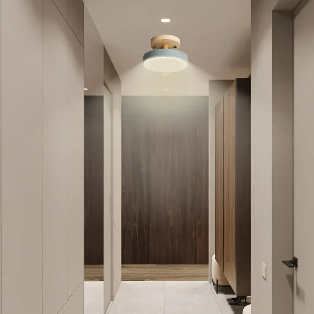 Slim Contemporary LED Ceiling Light