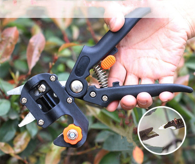 Precise Pruning Tree Grafting Shears
