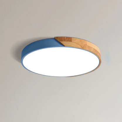 Modern Nordic LED Ceiling Light