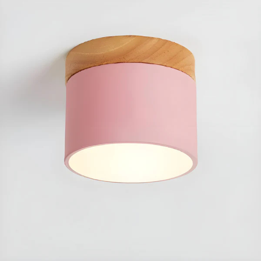 Classic Retro Style LED Light Fixture
