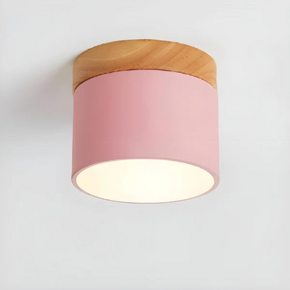 Classic Retro Style LED Light Fixture