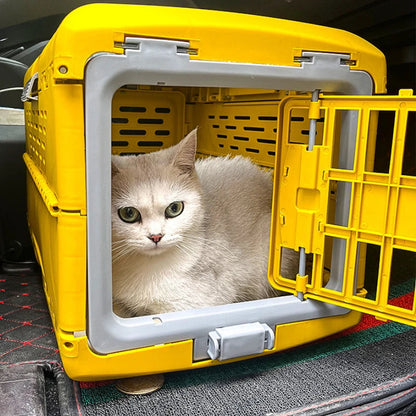 Portable Collapsible Pet Carrier Box