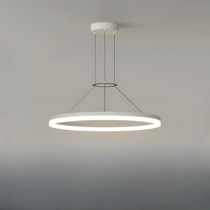Simple Stylish LED Hanging Light for Home