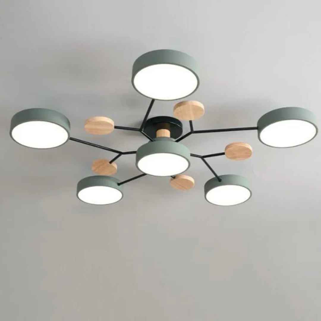Contemporary Circular LED Ceiling Light
