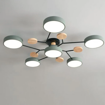Contemporary Circular LED Ceiling Light