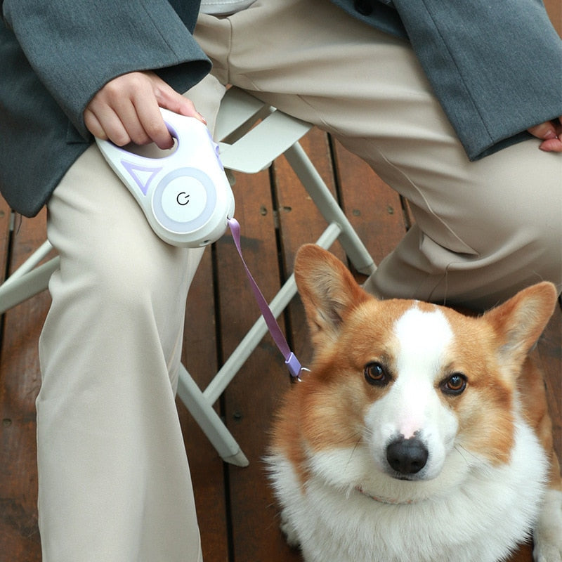 Bright Adjustable LED Dog Leash with Flashlight