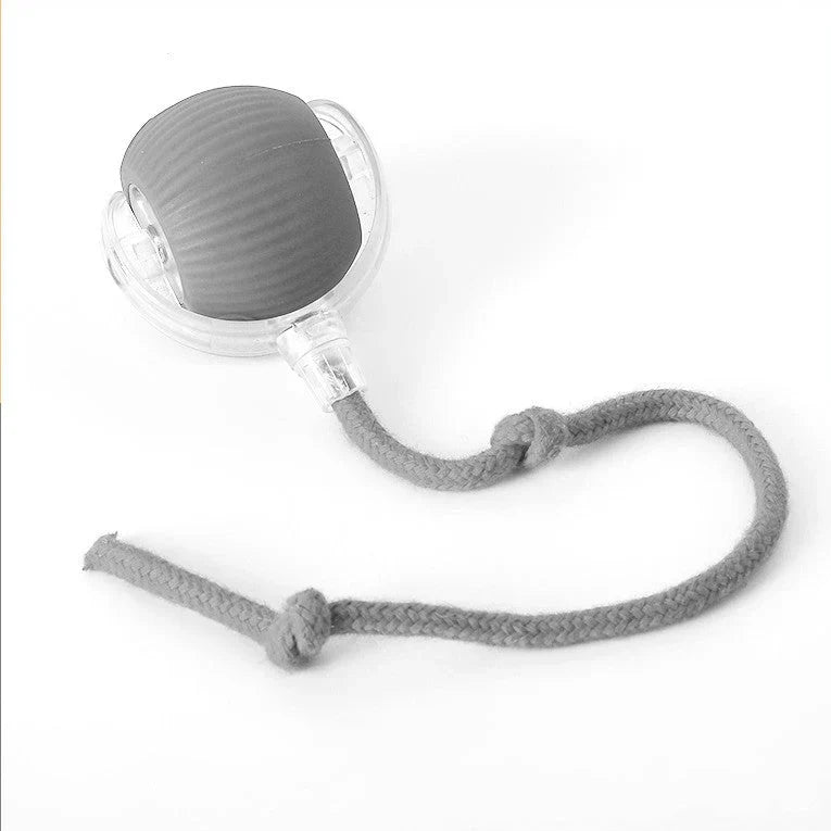 Fun Feather Teaser Toy for Cats