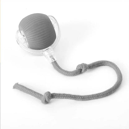 Fun Feather Teaser Toy for Cats