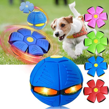 Fun Dog Fetch Ball Toy
