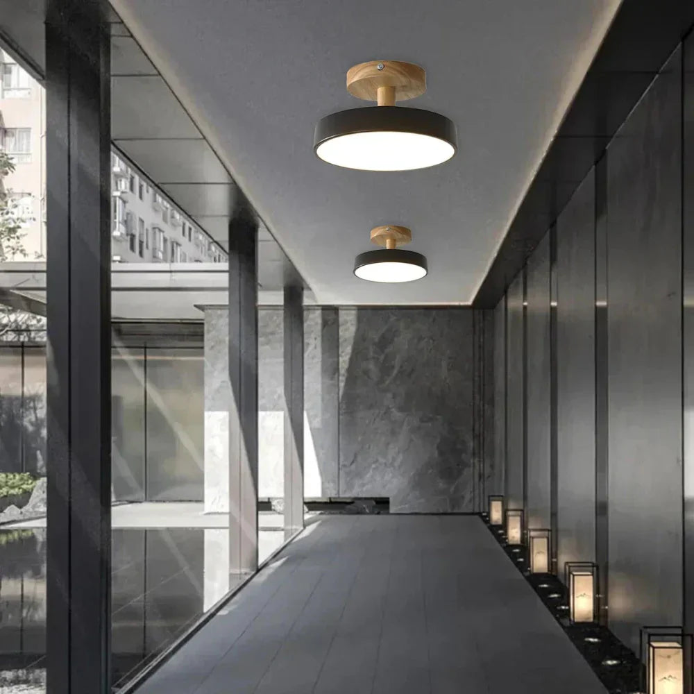 Slim Contemporary LED Ceiling Light