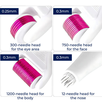 Anti Aging Skin Roller Kit with Titanium Needles