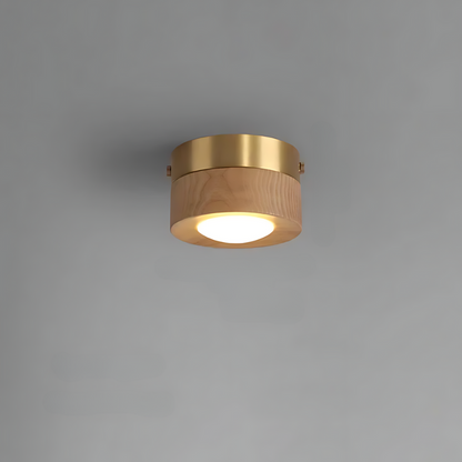 Brown Wooden Ceiling Lamp with LED Lights - Befez