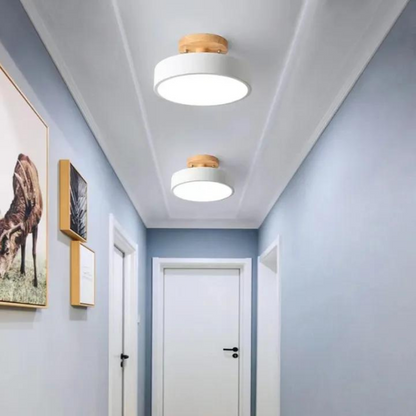 Slim Contemporary LED Ceiling Light
