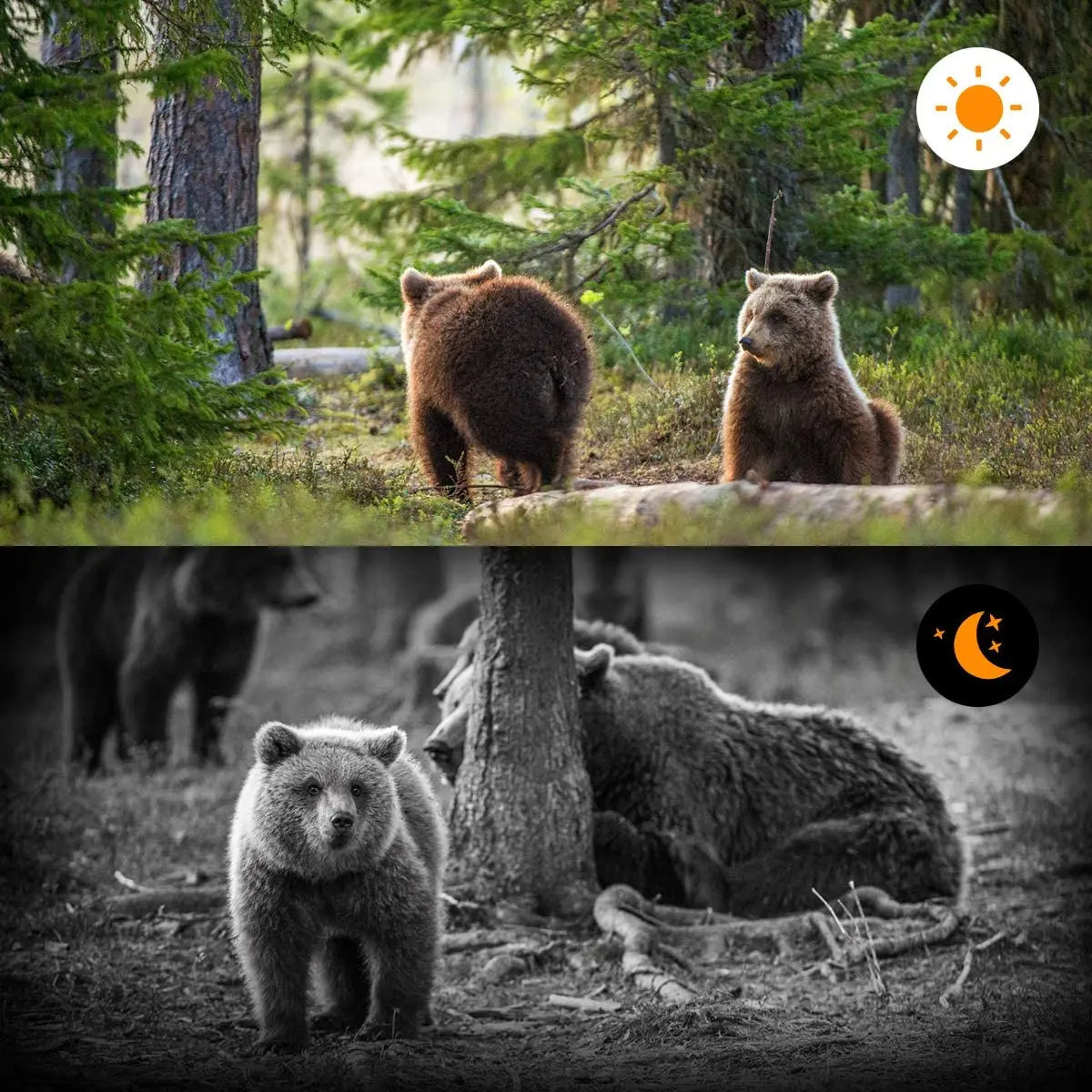 High Quality Motion Sensor Trail Cam