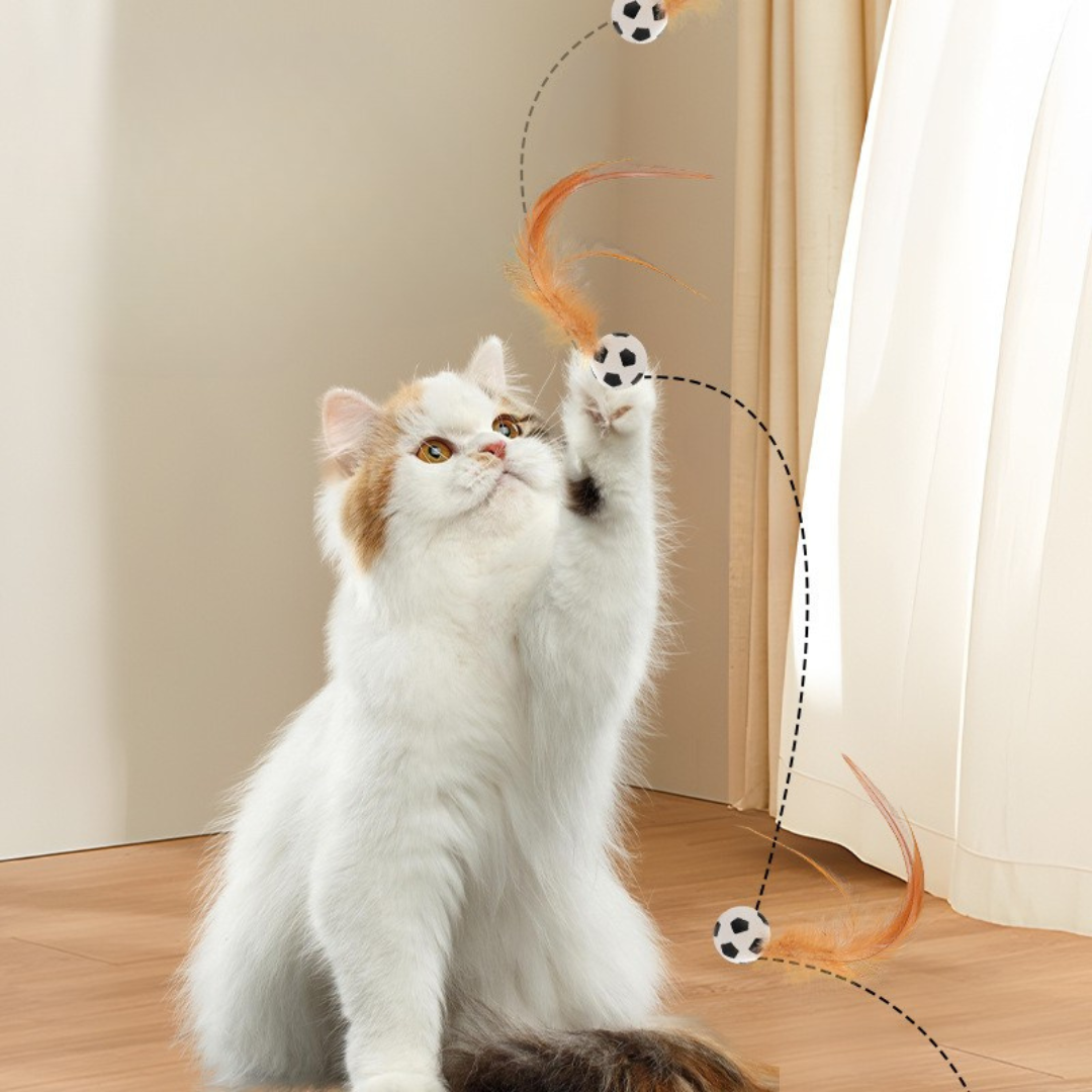 Fun Cat Feather Teaser Toy