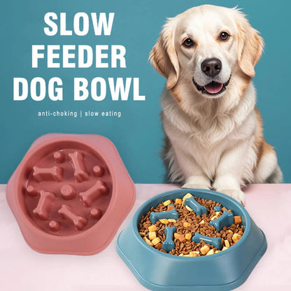 Easy Feed Slow Feeder Dog Bowl - Befez