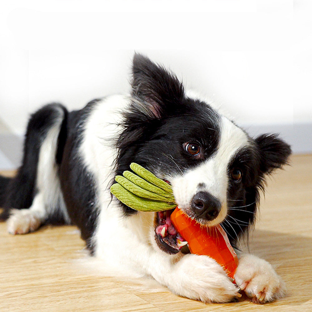 Healthy Natural Rubber Dog Chew Toy