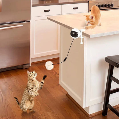 Interactive LED Motion Cat Toy Ball