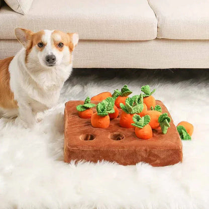 Fun Hide Seek Scent Game Toy