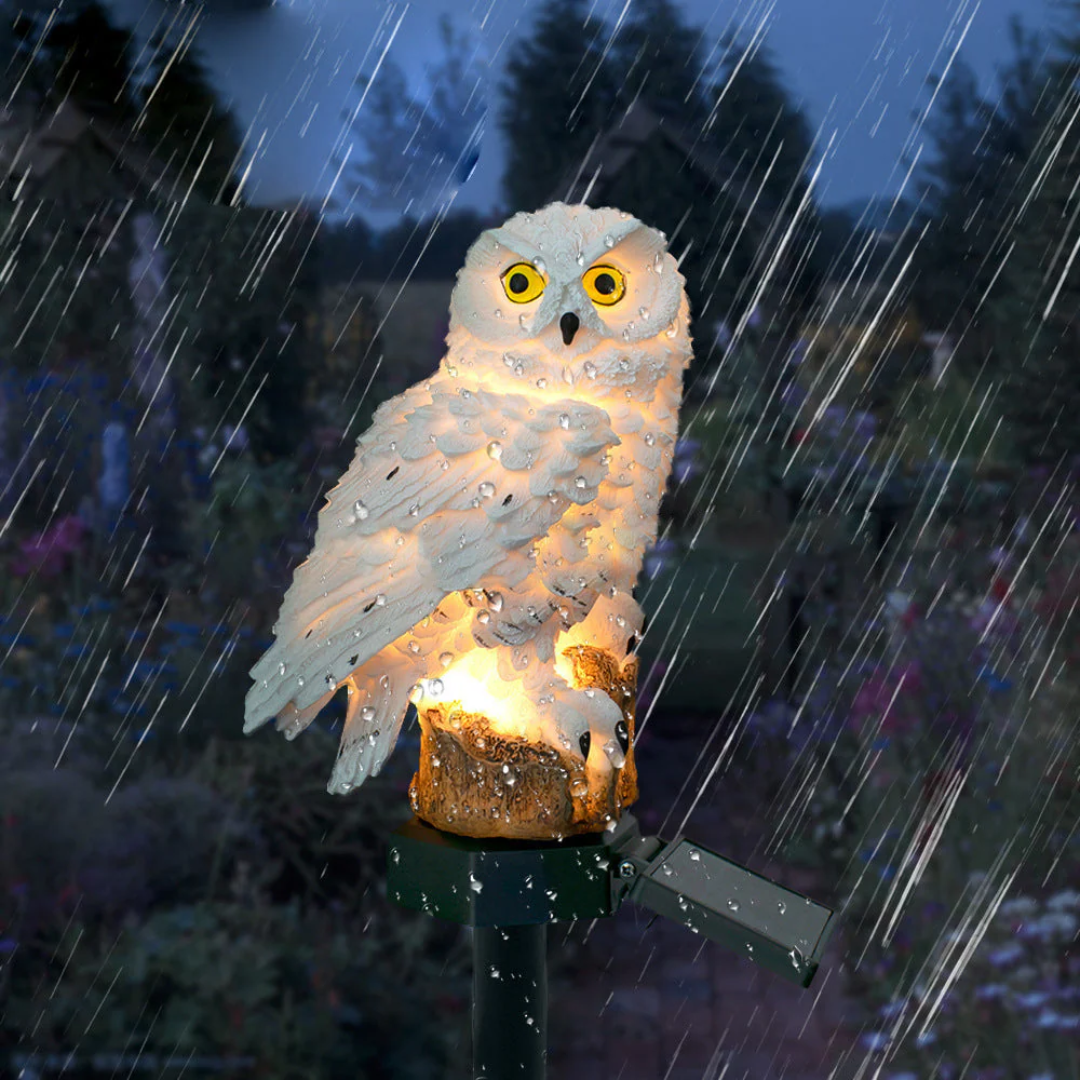 Befez | Outdoor Solar Powered Owl Light