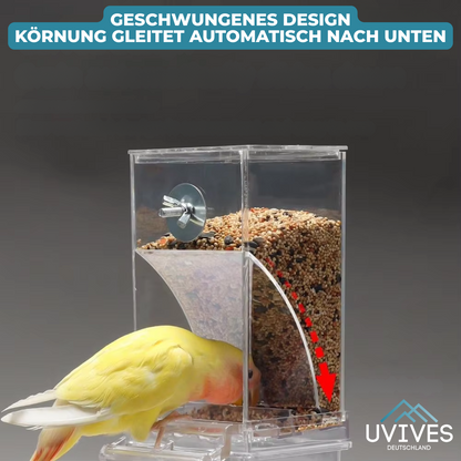 Easy Bird Feeder for Less Mess