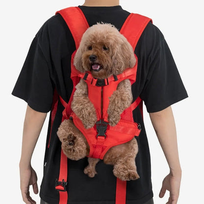 Cozy Pet Travel Carrier - Waterproof & Ventilated