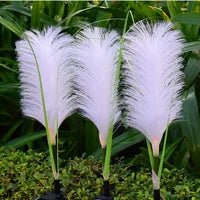 Natural Rattan Outdoor Garden Lamp