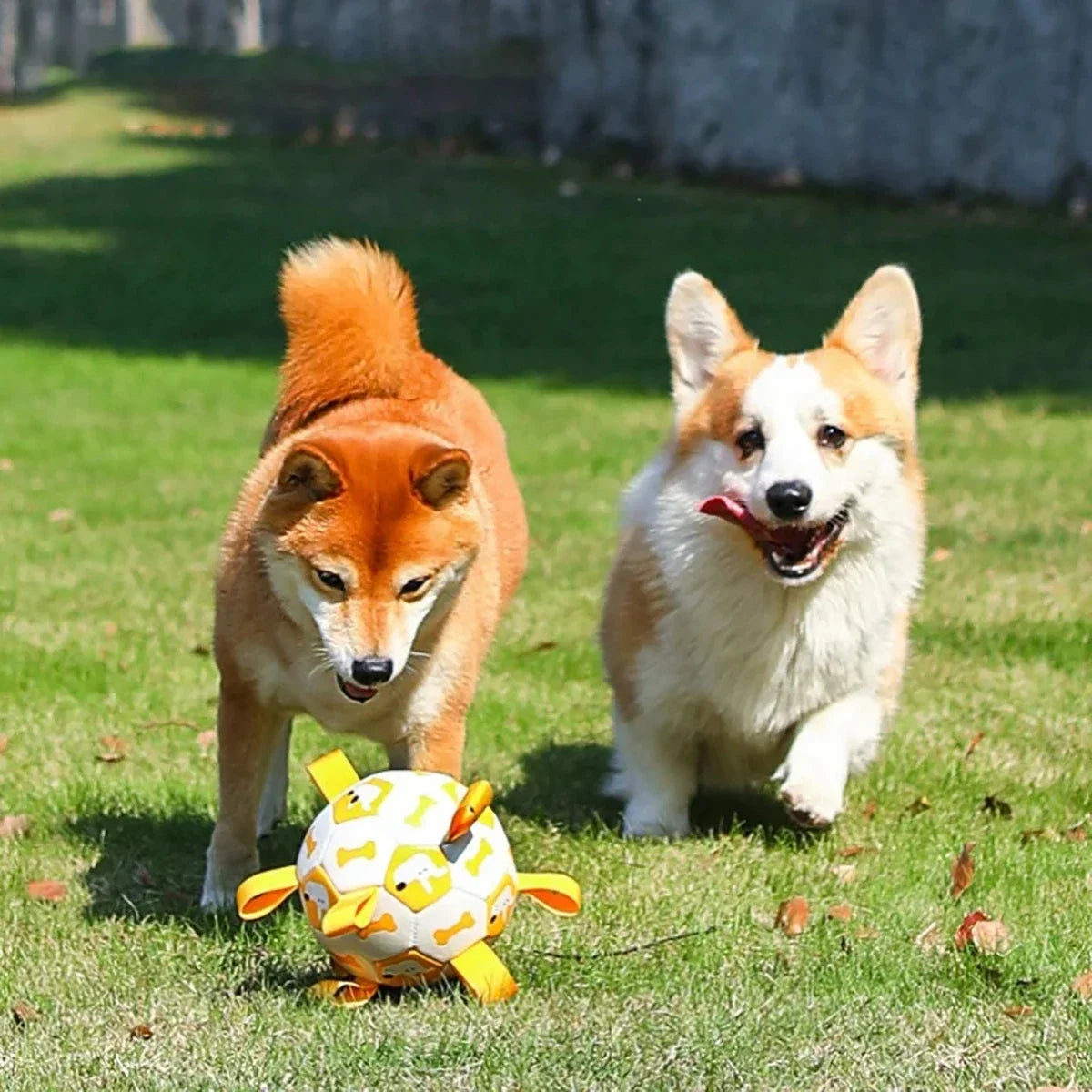 Fun Dog Rope Ball Interactive Toy - Befez