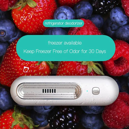 Small Air Cleaner and Fridge Deodorizer