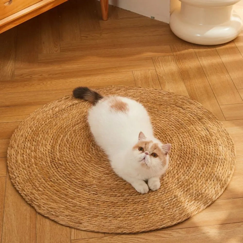 Durable Scratch Guard Cat Tower