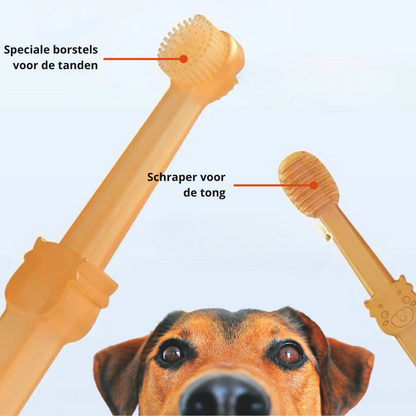 Pet Dental Care Dog Toothbrush Kit