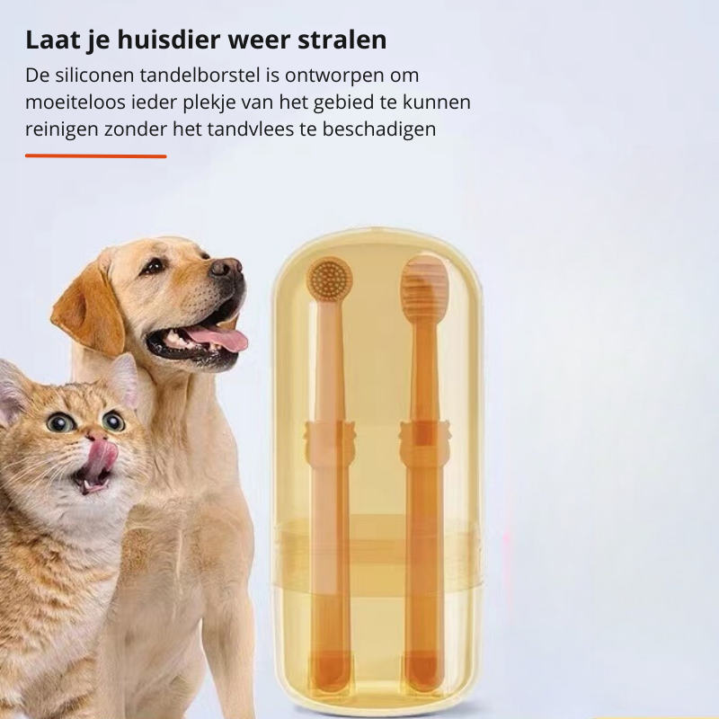 Pet Dental Care Dog Toothbrush Kit