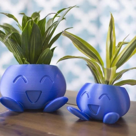 Colorful Planter Box for Happy Plants - Befez