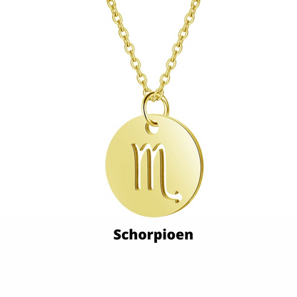 Eco Friendly Zodiac Pendant Stainless Steel Necklace