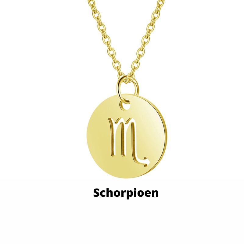 Eco Friendly Zodiac Pendant Stainless Steel Necklace