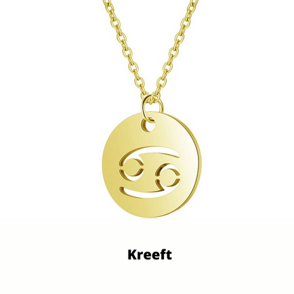 Eco Friendly Zodiac Pendant Stainless Steel Necklace