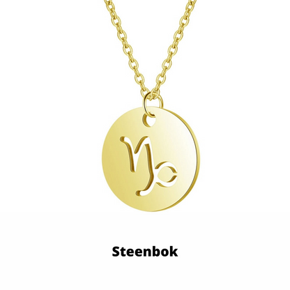 Eco Friendly Zodiac Pendant Stainless Steel Necklace