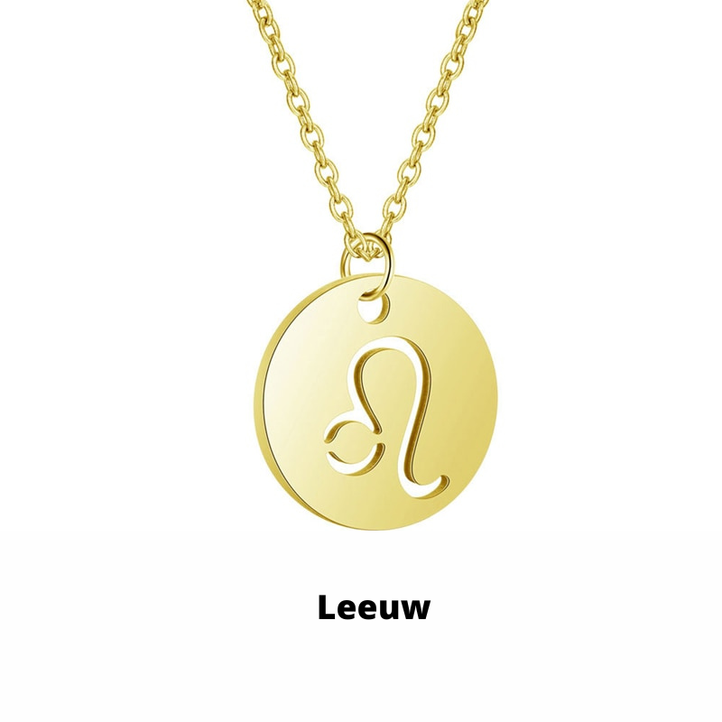 Eco Friendly Zodiac Pendant Stainless Steel Necklace