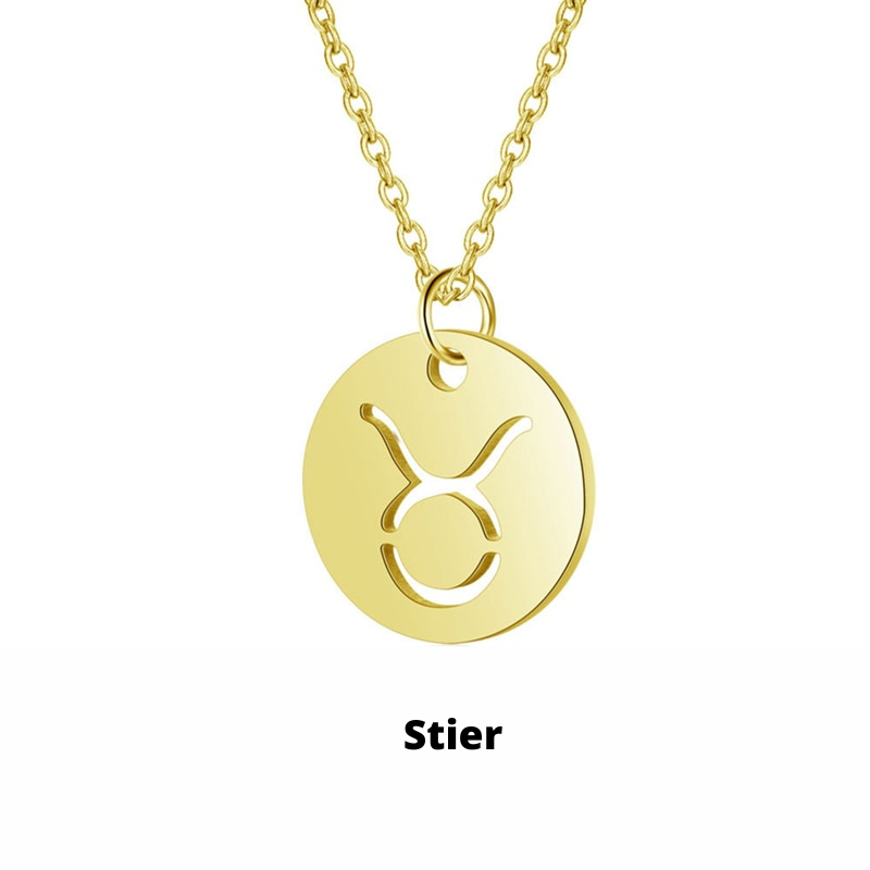 Eco Friendly Zodiac Pendant Stainless Steel Necklace