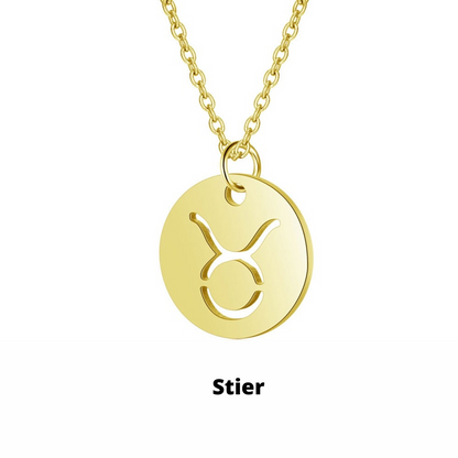 Eco Friendly Zodiac Pendant Stainless Steel Necklace