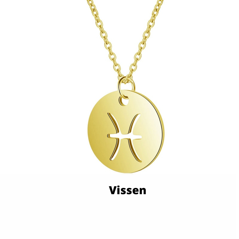 Eco Friendly Zodiac Pendant Stainless Steel Necklace