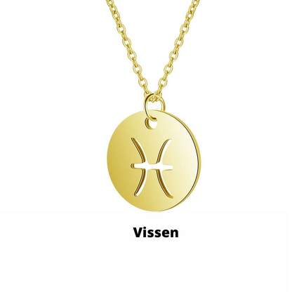 Eco Friendly Zodiac Pendant Stainless Steel Necklace